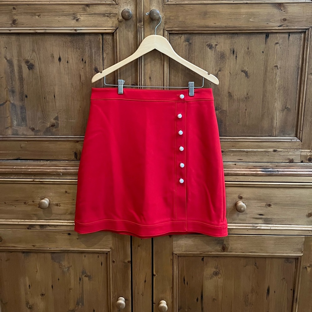 Ann Taylor skirt